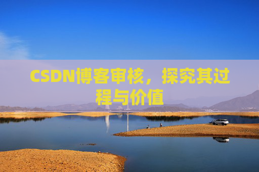 CSDN博客审核，探究其过程与价值